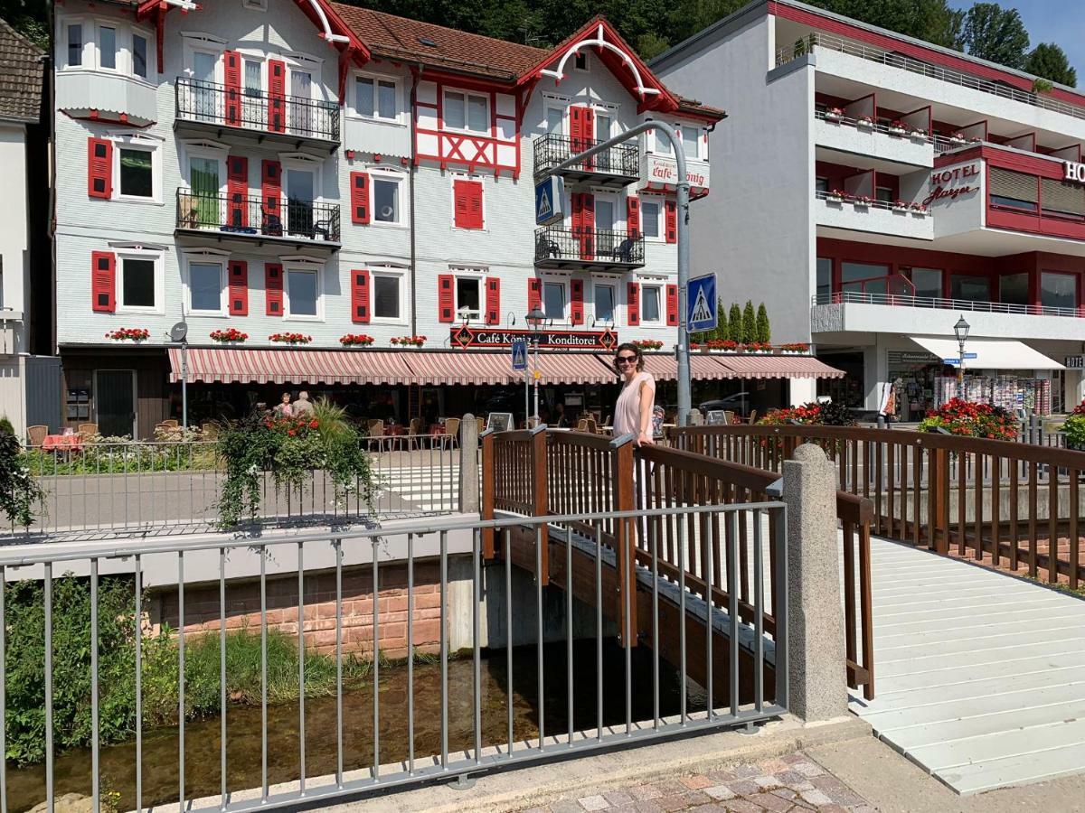 Black Forest Apartment บัดแฮร์เรนอัลบ์ ภายนอก รูปภาพ